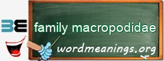 WordMeaning blackboard for family macropodidae